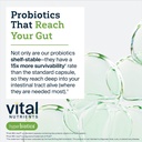Hyperbiotics Vital Nutrients Pro Kids Probiotic | Allergen-Free Toddler Probiotics for Kids | Targeted Immune, Gut, and Digestive Health | Sugar-Free Orange Flavor | 60 Chewable Tablets 6