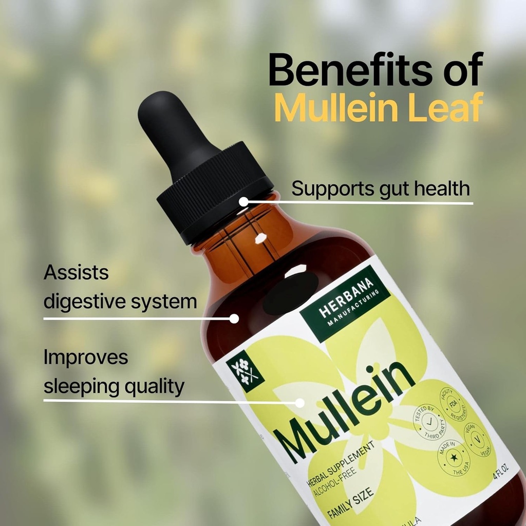 Mullein Leaf 4 fl oz Liquid Extract - Natural Lung Cleanse & Detox Supplement - Respiratory Health and Immune Support Tincture - Family Size - High Potency Drops - 90-Day Supply 5