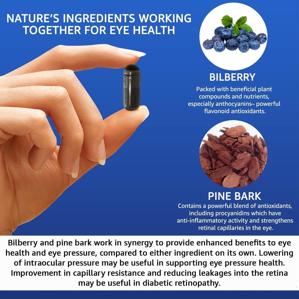 Vision Defender BP Eye Supplement: Bilberry and Pine Bark Extracts for Eye Pressure and Eye Health Support (60 Vegan Capsules) 4
