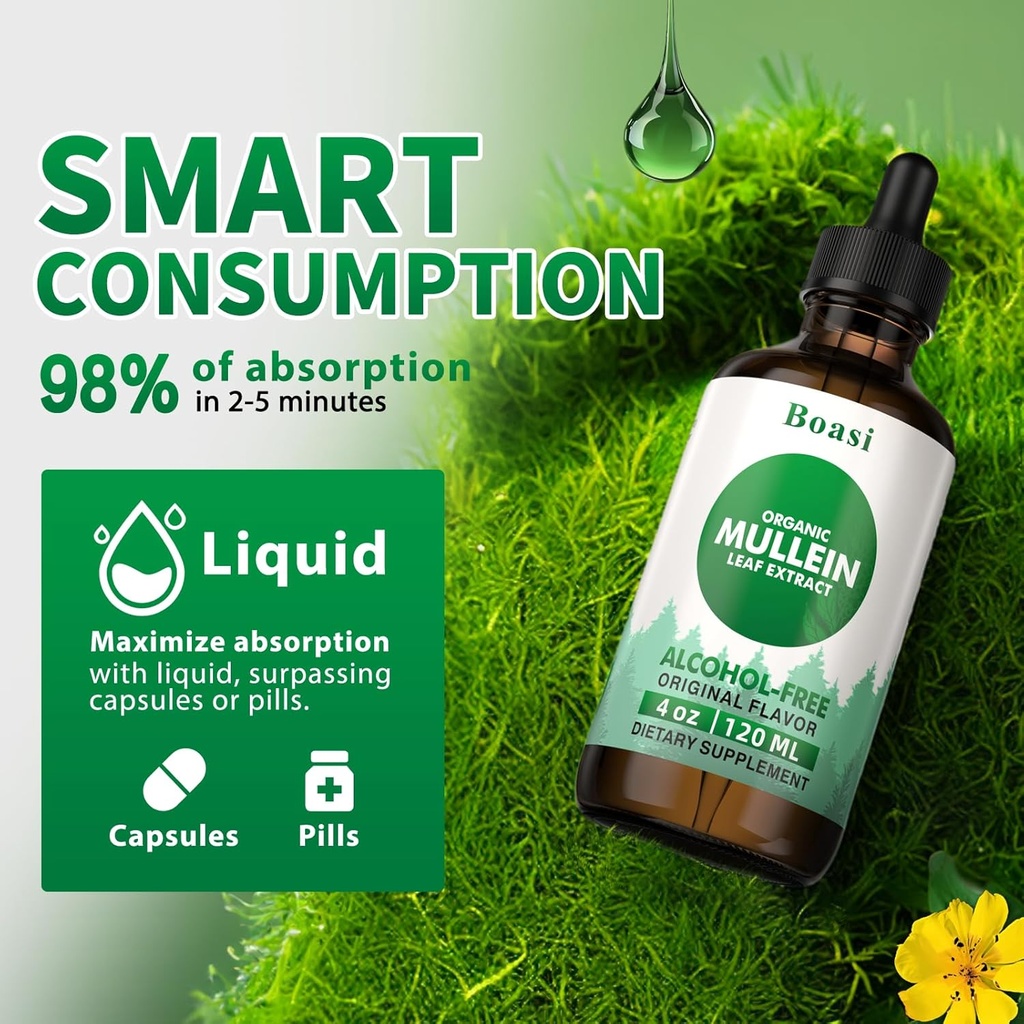 120ml Mullein Leaf Tincture - Lung Cleanse - Vegan Lung Detox - Respiratory Health and Immune Support Drops - Natural Supplement Liquid Extract 4 fl.oz.Chlorophyll 4