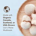 PURE ESSENCE LABS MyPure Lion's Mane 2X - Double Strength Brain Support Supplement with 100% Organic Fruiting Body Lion's Mane for Cognitive Health, Focus, Memory & Mental Clarity, 60 Capsules 4