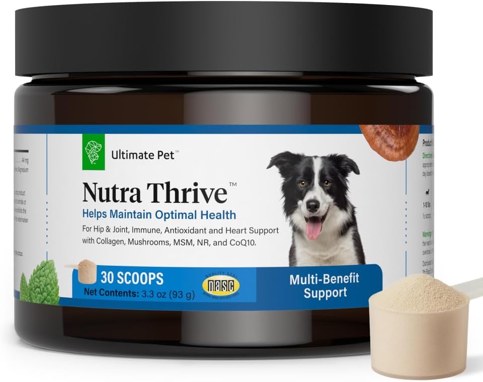 Ultimate Pet Nutrition Nutra Thrive Canine, 40-in-1 Nutritional Powder Supplement for Dogs with Digestion and Immune Support, Vitamins, Minerals, Probiotics, Enzymes, 30 Scoops 2
