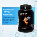Intelligent Labs Seneca Nootropic Brain Support Supplement | Focus, Memory & Clarity | 18 Brain-Boosting Ingredients | B-Complex Vitamins, Lion’s Mane & Ashwagandha | Caffeine & Stimulant Free 4