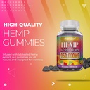 Hemp Gummies Neuropathy Nerve Support Supplement High Potency - Natural Health Pure Extra Strength with Hemp Oil Extract Vegan Edibles for Adults Vegan, Low Sugar, Made in USA 3