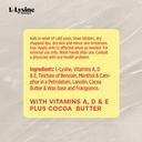 Basic Brands L-Lysine Lip Ointment with Camphor, Menthol, Vitamin A & E, 0.875 oz 6