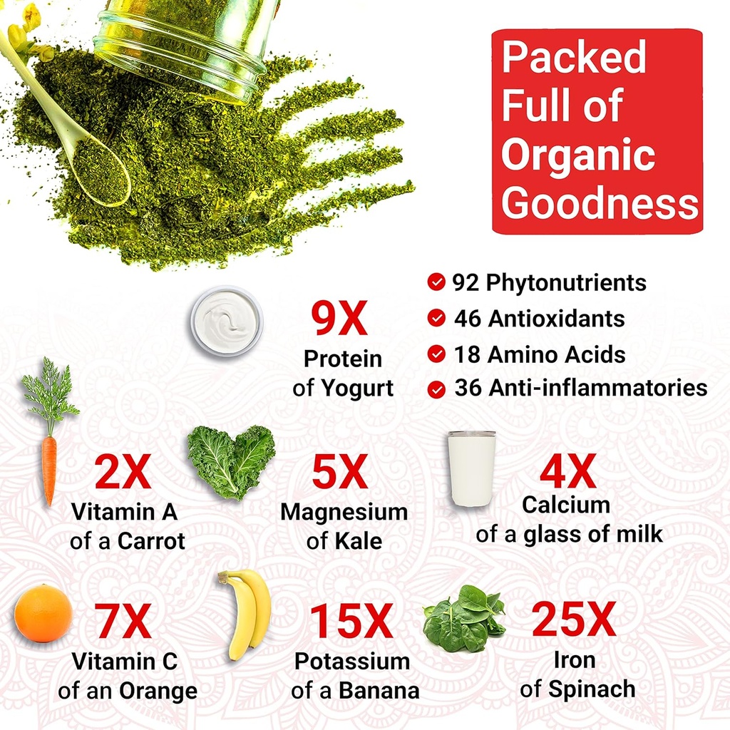 Organic Moringa Capsules Organic - Moringa Oleifera Capsules | Natural Herbal Supplement from Moringa Leaves | Certified USDA Organic | Vegan | Moringa Leaf Capsules Superplant | 60 Moringa Pills 5