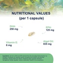 Vegan Omega 3 Supplement OMEGOR Veg - Algae Oil Omega 3 with 250mg EPA and 125mg DHA with Vitamin E - Vegan Society and IFOS Certified (60 Caps) 6