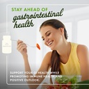 Swanson Epic-Pro 25-Strain Probiotic 30 Billion CFU Digestive Health Immune System Support Prebiotic Nutraflora FOS 30 DRcaps Veggie Capsules (Caps) (2 Pack) 3