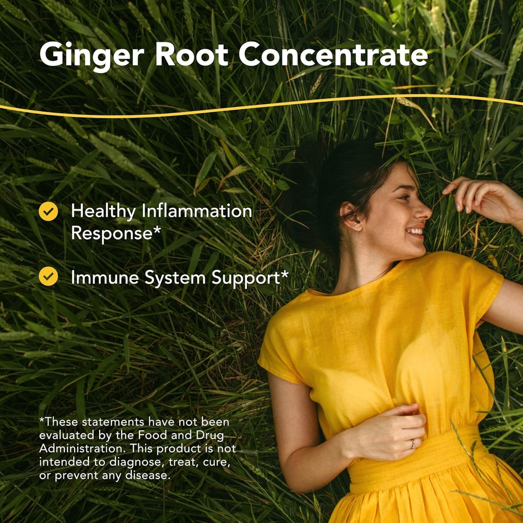 NORTH AMERICAN HERB & SPICE Inflam-EEZ - 90 Capsules - Supports Healthy Immune & Inflammatory Response - Ginger Root, Camu Camu Berries, Bromelain & Papain Plus - Non-GMO - 45 Total Servings 3