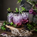 ECO-TASTE Elderberry Juice Powder, Supports Healthy Immune System, Non GMO and Vegan Friendly, 170g 6