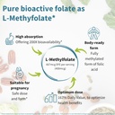 Igennus Pure Methyl Folate 400 mcg, 180 Tablets, Clean Label, Methylated Form of Folic Acid 5-MTHF (Vitamin B9), Vegan, Suitable for Pregnancy, One-a-Day, 6 Month Supply 5