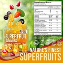 Joyli Superfruit Gummies - Sugar-Free Fruit Multivitamin Gummies for Adults - Natural Gummy Vitamins for Women & Men with Goji, Elderberry, Vitamins A, C, D & E - Supports Immunity, Digestion & Energy 4