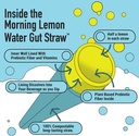 Gut Straw Morning Lemon Water Straw - A Serving of Prebiotic Fiber and Half a Lemon Inside Each Infused Drinking Straw 3