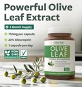 Super Strength Olive Leaf Extract Capsules - Vegan Non-GMO 750mg Olive Extract with 20% Oleuropein Antioxidant Supplement for Immunity Skin and Heart Health Support - Made in The USA (2 Month Supply) 3