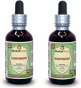 Raspberry (Rubus Idaeus) Glycerite, Organic Dried Leaves Alcohol-Free Liquid Extract (Brand Name: HerbalTerra, Proudly Made in USA) 2x2 fl.oz (2x60 ml) 2