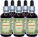 Raspberry (Rubus Idaeus) Glycerite, Organic Dried Leaves Alcohol-Free Liquid Extract (Brand Name: HerbalTerra, Proudly Made in USA) 2x2 fl.oz (2x60 ml) 4