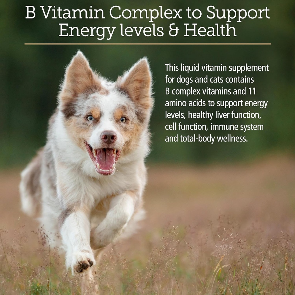 Rx Vitamins Amino B Plex Cat & Dog Supplement - Vitamin B Complex Liquid Plus Amino Acids for Dogs & Cats - Appetite Booster and Weight Gainer Cat & Dog Vitamins - 2 oz 4