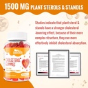 Cholesterol Supplements with 1500 Mg Plant Sterols & Stanols, Cholesterol Support Gummies, Cholesterol Complex Gummies, Maintains Normal Levels, Mixed Berry Flavor, 120 Count 5