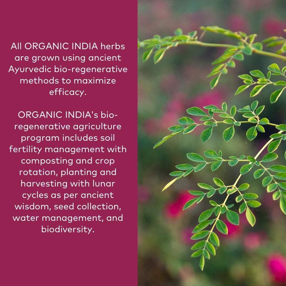 Organic India Triphala - Herbal Supplement with Amla, Bibhitaki, Haritaki, Digestion & Colon Support, Immune System Support, Adaptogen, Vegan, USDA Certified Organic - 1 lb Bag 3