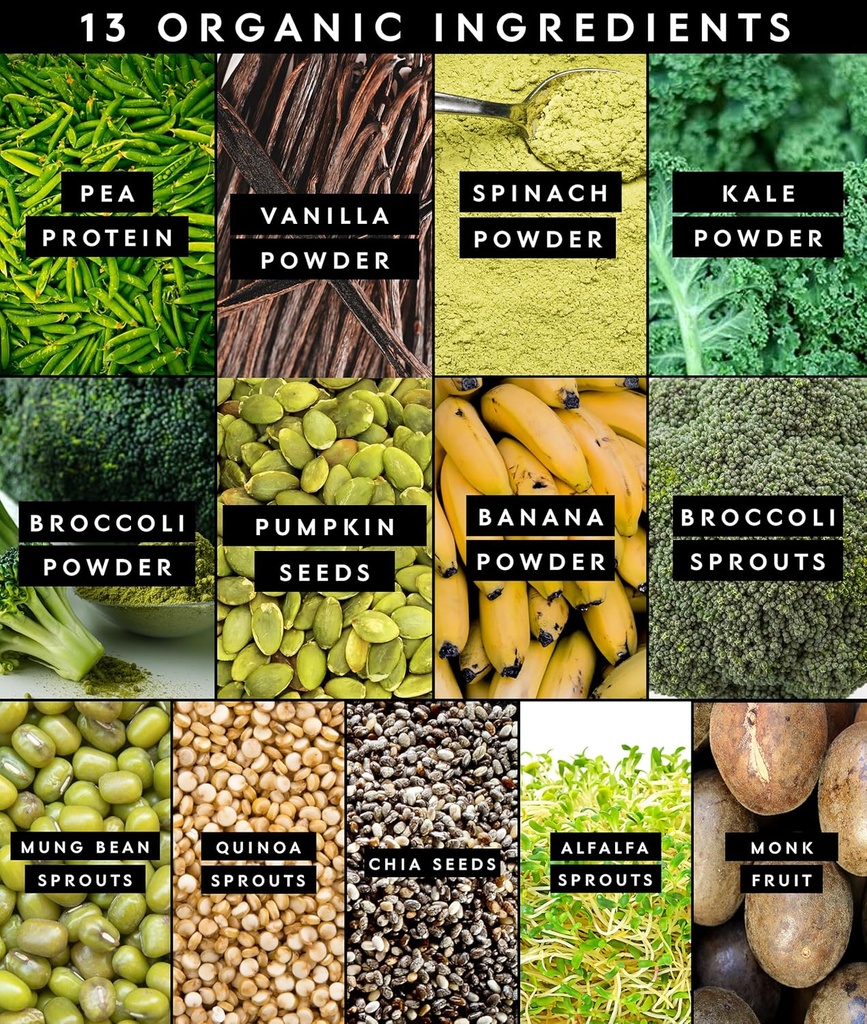 Truvani Protein + Greens Supplement | Spinach, Kale & Broccoli | 10g Organic Plant Based Protein | 20 Servings | USDA Organic | Gluten & Dairy Free | Vegan | No Added Sugar 5