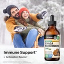 BIO KRAUTER Chaga Mushroom Extract - Chaga Tincture for Immune Support - Vegan, Alcohol & Sugar Free Drops 4 Fl.Oz. 3