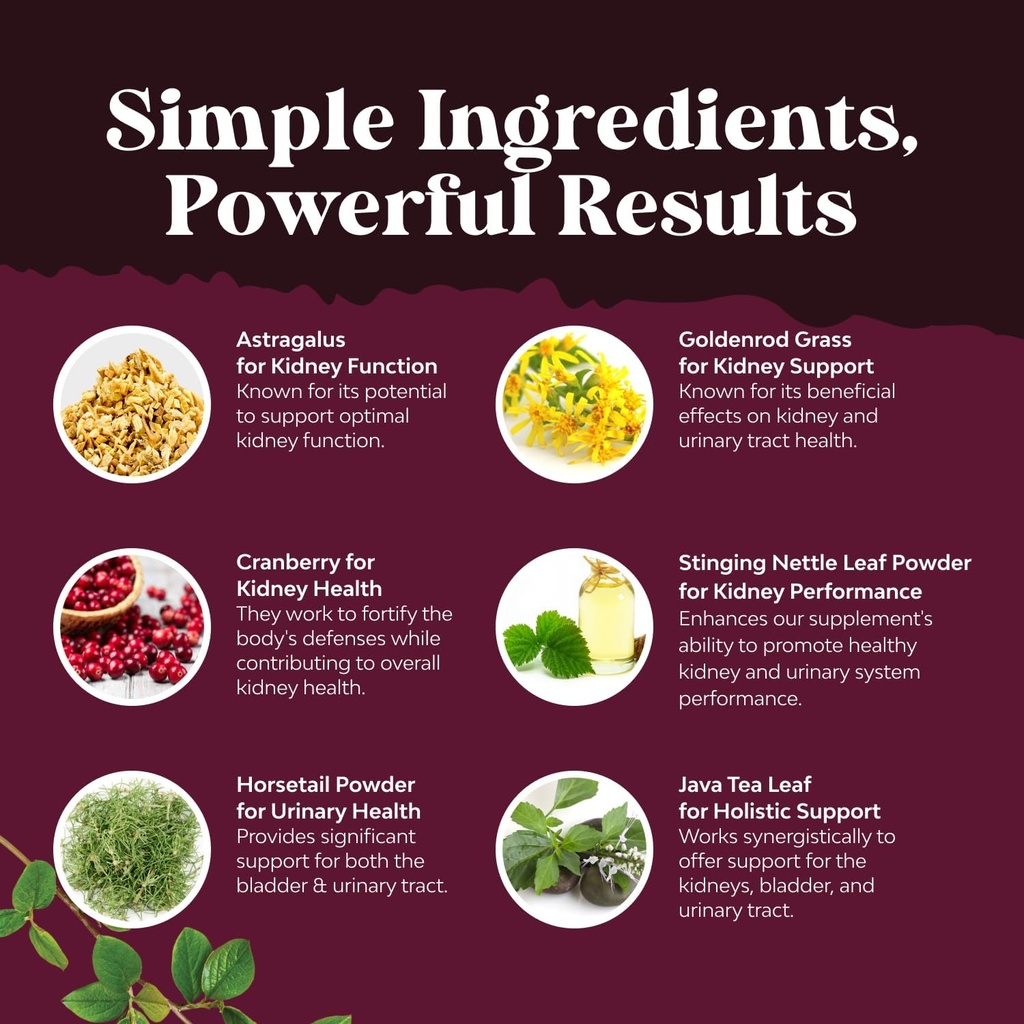 Advanced Kidney Support Supplement - Kidney Cleanse Detox & Repair Cranberry Extract Capsules with Uva Ursi, Stinging Nettle & Astragalus for Kidney health - Urinary Tract Health - 120 Caps 6