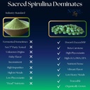 Natural Zing 100% Pure Spirulina (Raw, Organic) |1000 16oz Powder, Tablets | Vegan Protein | Phycocianin | Beta Carotene 5