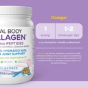 Natural Factors Total Body Collagen - Bioactive Collagen Supplement for Hair & Nail Growth Support - Healthy Skin Supplement with Protein, Vitamin C & More - Unflavored, 500 g (38 Servings) 4