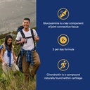 Puritan's Pride Glucosamine Chondroitin MSM Dietary Supplement for Joint Health, 360 Coated Caplets 4