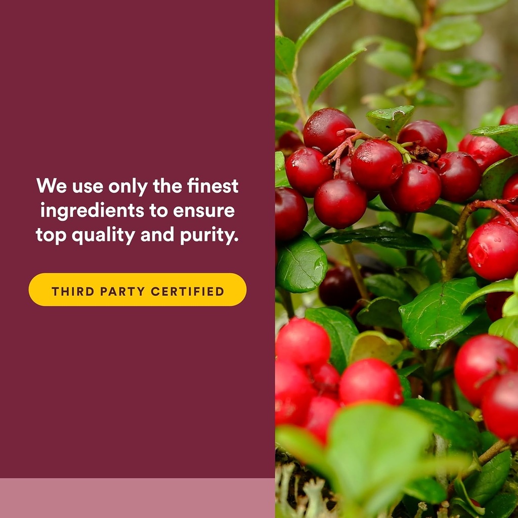 CranRich by Natural Factors, Super Strength Cranberry Concentrate, Antioxidant Supplement for Urinary Tract Support, Non-GMO, 90 softgels (90 servings) 6