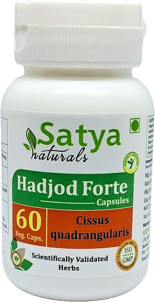 Hadjod Forte Capsules 500 mg. 60 Veg. Capsule | Hadjod (Cissus Quadrangularis) Extract Capsules for Men and Women | Ayurvedic Herbal Supplement/Remedies | 10:1 Forte (1 Bottle of 60 Capsules) 2