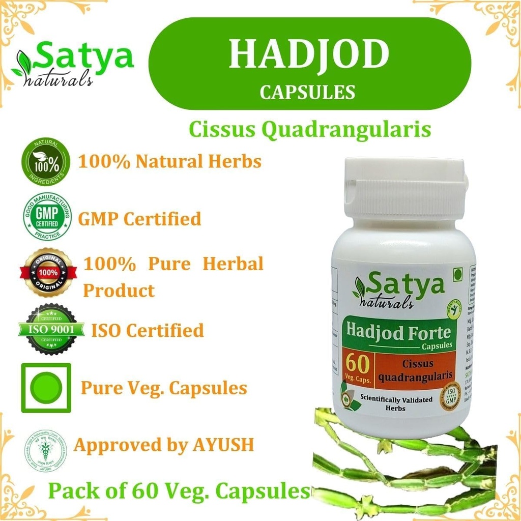 Hadjod Forte Capsules 500 mg. 60 Veg. Capsule | Hadjod (Cissus Quadrangularis) Extract Capsules for Men and Women | Ayurvedic Herbal Supplement/Remedies | 10:1 Forte (1 Bottle of 60 Capsules) 6