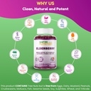 SHIFAA NUTRITION Vegan Black Sambucus Elderberry Gummies | Non-GMO | 60 Gummies, 30 Serving w/ 100mg Elderberry, 90mg Vitamin C, 7.5mg Zinc | Immune Support, Antioxidant Flavonoids Halal Vitamins 5