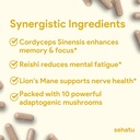 Clarity Plus Cognitive Wellness Supplement | Packed with 10 Powerful Adaptogenic Mushrooms | Clear Brain Fog and Support Mental Clarity | 60 Count | 30 Day Supply 6