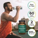 Prominent Nutrition Ashwagandha Supplement - Clinically Researched Shagandha Root Extract for Healthy Mood & Stress Support, Standardized to 2.5% Withanolides, 500 mg, 60 Vegan Capsules - 1 Pack 4