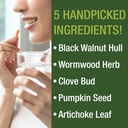 Wormwood Black Walnut Clove Cleanse for Humans. Elimination Detox + Intestinal Support Capsules Supplement for Adults and Kids. Pills with Artichoke and Pumpkin Seed for Additional Benefits 4