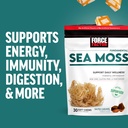 FORCE FACTOR Sea Moss Soft Chews, Support Immunity, Digestion, and Heart Health, Irish Sea Moss Superfood & Antioxidants Supplement, Non-GMO, Gluten-Free, Salted Caramel Flavor, 60 Soft Chews, 2-Pack 6