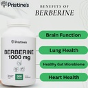 PRISTINE'S Berberine Supplement Capsules - 1000 MG 75 Day Supply - Heart, & Immunity Health Support Antioxidant - Digestive Tract & Healthy Gut Flora Support 3