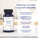 Dr. Tennant's Fungal Detox | Candida Cleanse, Mood & Hormone Balance | Promotes Healthy Yeast Levels & Gastrointestinal Health 5