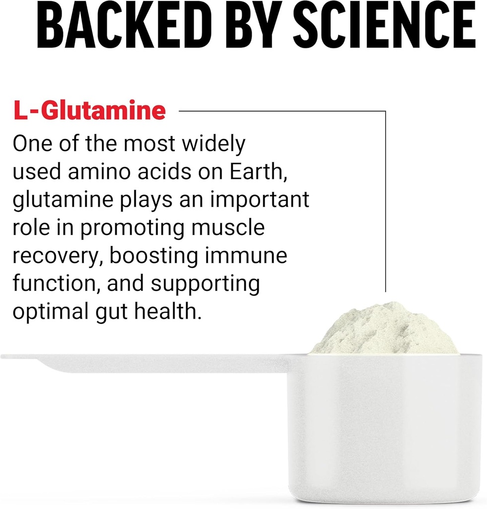 FORCE FACTOR L-Glutamine Powder for Post Workout Recovery, Muscle Recovery, Healthy Muscle Function, and Immunity, 5000mg/5g Glutamine Supplement, Vegan, Non-GMO, 60 Servings 4