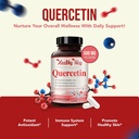 High Strength Quercetin 500mg Capsules - Once Daily Powerful Antioxidant Quercetin Supplement for Heart Aging Skin Brain and Immune Support - Vegan Friendly Gluten-Free Made in the USA (200 Servings) 4