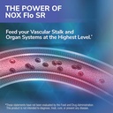 Tesseract NOX Flo SR Nitric Oxide Booster, Vascular Health Supplement, 120 Capsules, Sustained-Release L Citrulline, Coenzyme Q10 & R Lipoic Acid, Circulation & Blood Pressure Support, Hypoallergenic 4