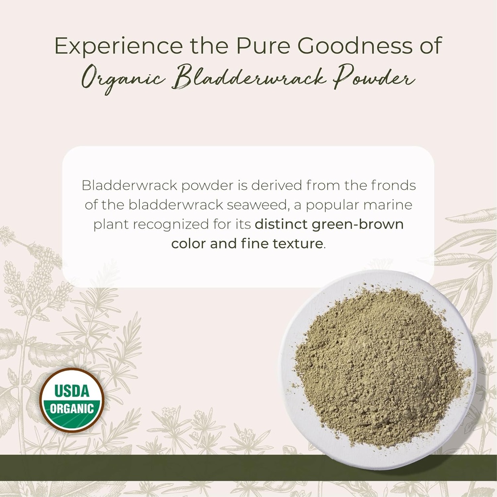 Starwest Botanicals Dried Bladderwrack Organic Powder - Natural Seaweed Herb, Source of Iodine, Potassium, Zinc, Calcium, Vitamins A & C, Certified Kosher, Non-GMO - 4 oz Pouch 3