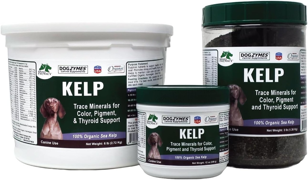 Dogzymes Organic Norwegian Kelp for Pets, a Valuable Nutrition Source Rich in Iodine to Support Gland Function, Especially The Thyroid (12 Ounce) 3