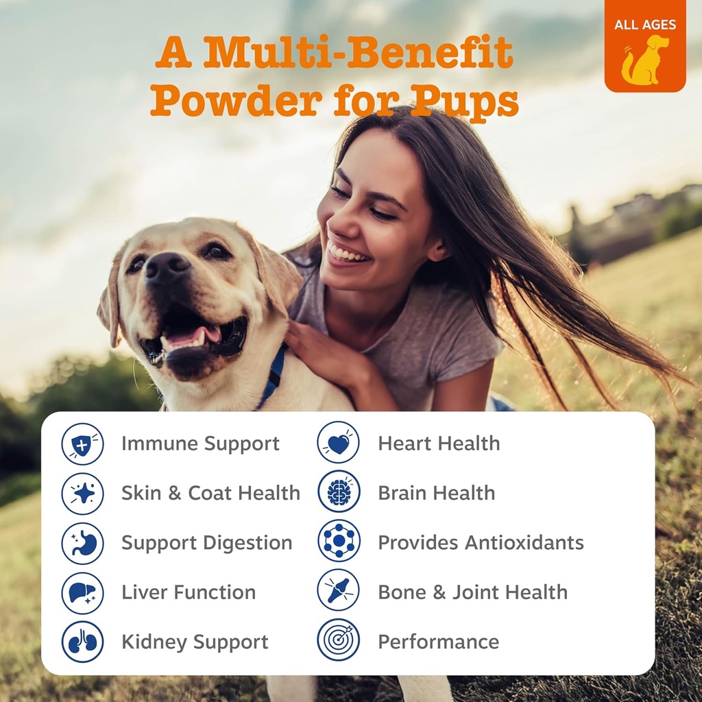 Zesty Paws 10-in-1 Dog Multivitamin - Gut, Immune, Joint, Skin & Coat Support, and More - Dog Vitamins and Supplements Powder - Pet Supplements with Omega Fish Oil & VitaFiber - Salmon - 30 Ct 3