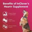 InClover Heart+ Dog and Cat Cardiac Health Supplement - Taurine Supplement for Dogs and Cats - Supports Heart & Immune Health, Pet Supplement for Weight Management & Senior Pet Health 3