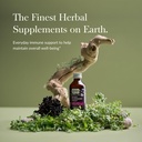 Gaia Herbs Black Elderberry (Sambucus Nigra) Syrup Adult Daily - Immune Support Supplement - with USDA Certified Organic Black Elderberries for Immune System Support - 3 Fl Oz (9-Day Supply) 3