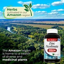 LAB | zinc supplements | zinc 100mg | Zinc Picolinate | Immune Support Supplement | 180 Capsules| zinc supplements | Ultra high Absorption. 5