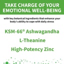 Peptiva Probiotics Mood & Stress - Stress and Mood Support, Digestive Support, Gut Health, 25 Billion CFU, Multi-Strain Probiotics, Lactobacillus Acidophilus, Bifidobacterium - 30 Capsules 5