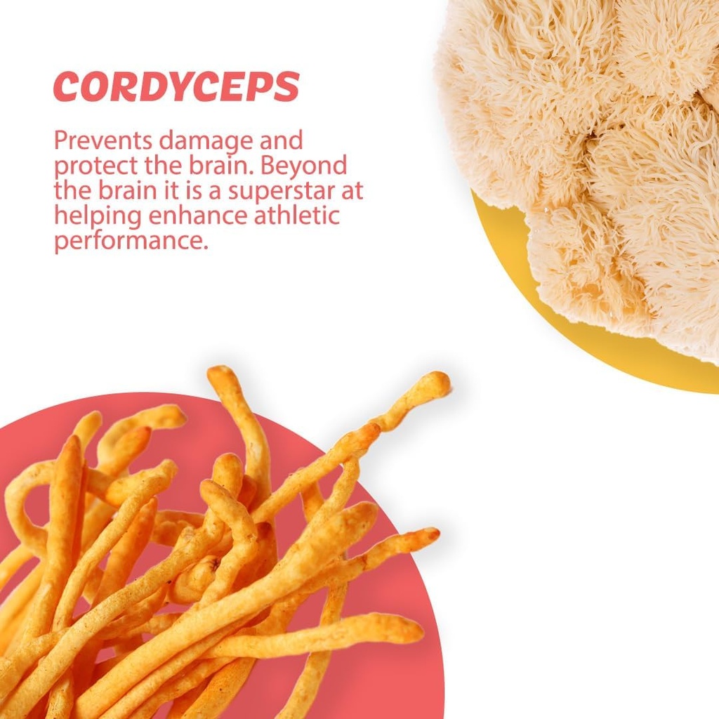 Silver Star Nutrition, Roots Focus Nootropic Brain Supplement - Strawberry Watermelon & Spicy Pineapple- Lion's Mane, Cordyceps, & Reishi Functional Mushrooms + Extended-Release Caffeine, 100 Servings 5